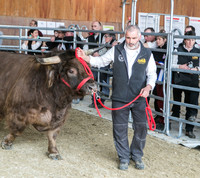 HCS Uster 2016-MAC5L-5269-LR6