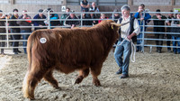 HCS Uster 2016-MAC5L-5259-LR6
