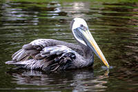 IMG_3707-bearb_LR5