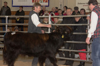 _MG_2987_bearb.LR4