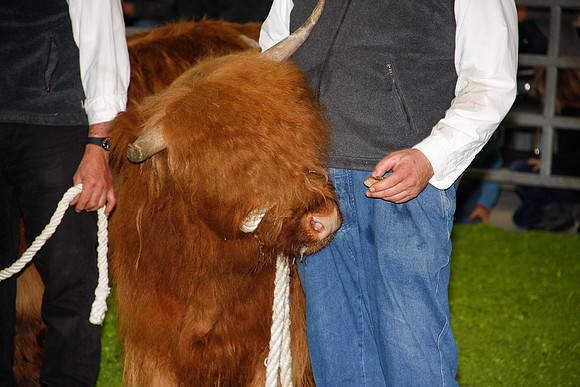 <Ohne_Titel>_132-bearb.LR4_240dpi