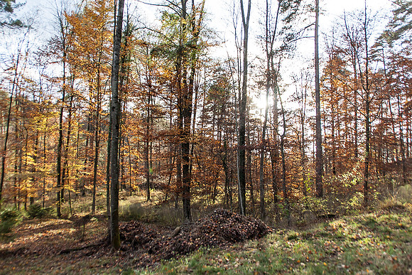 _MG_0461-bearb_LR5