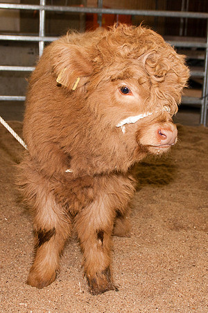 _MG_6354_bearb.LR4