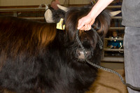_MG_2972_bearb.LR4