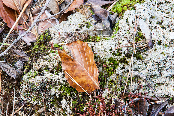 _MG_0449-bearb_LR5