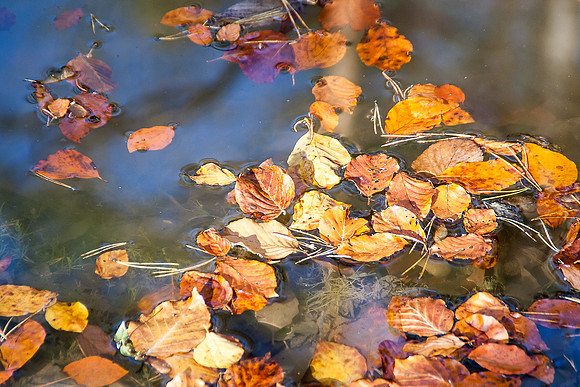 _MG_0365-bearb_LR5
