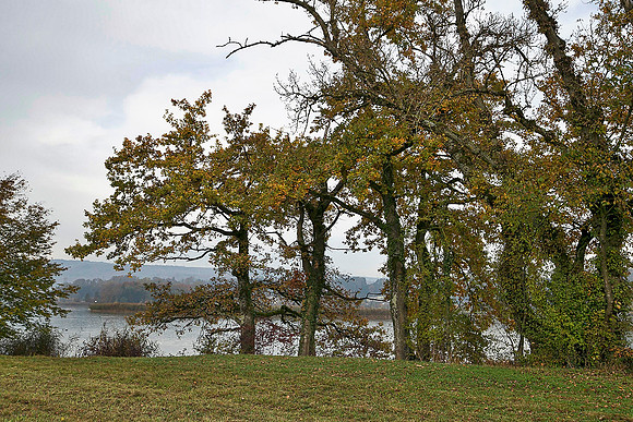_MG_0202-Bearbeitet