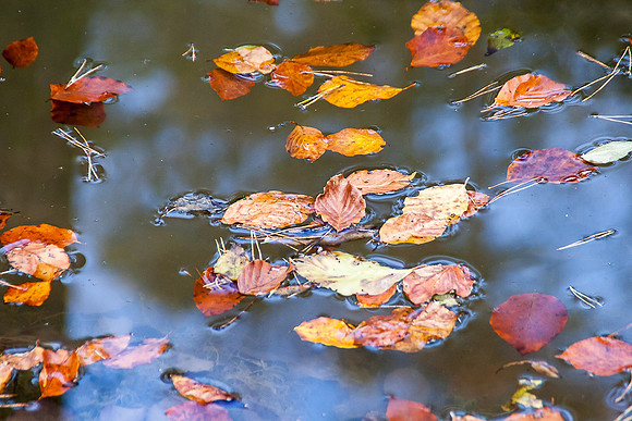_MG_0366-bearb_LR5