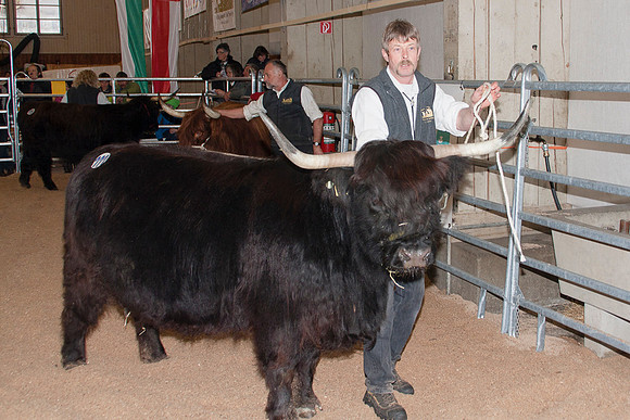 _MG_6400_bearb.LR4