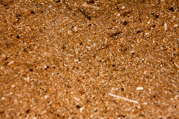 _MG_6357_bearb.LR4